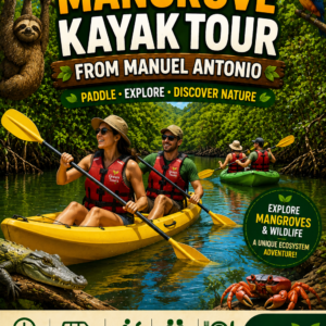 Tour en kayak por los manglares de Isla Damas desde Manuel Antonio