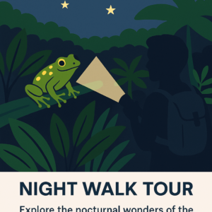 Fascinante paseo nocturno en Tortuguero