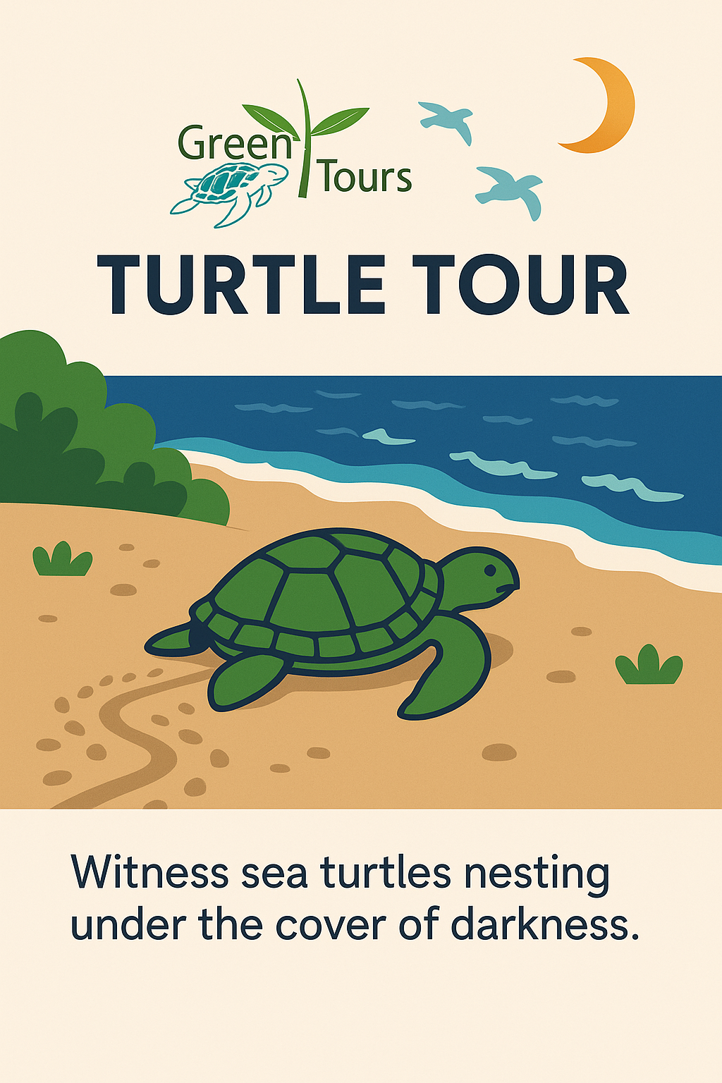 Experiencia de anidación de tortugas a la luz de la luna Tortuguero