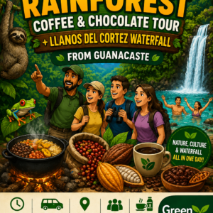 Selva Bijagua & Cascada Guanacaste